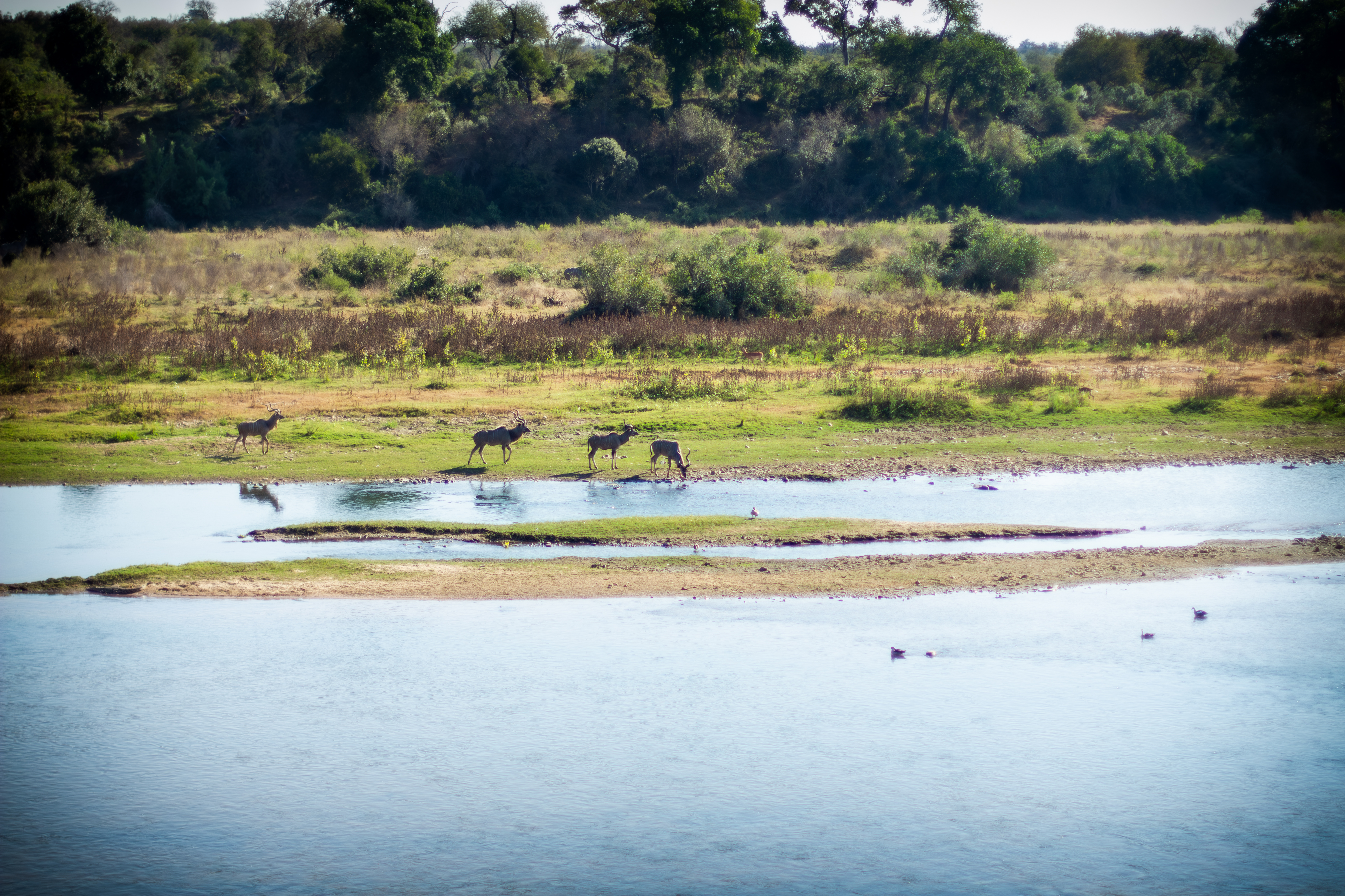 The Beauty of the Bush photograph 1
