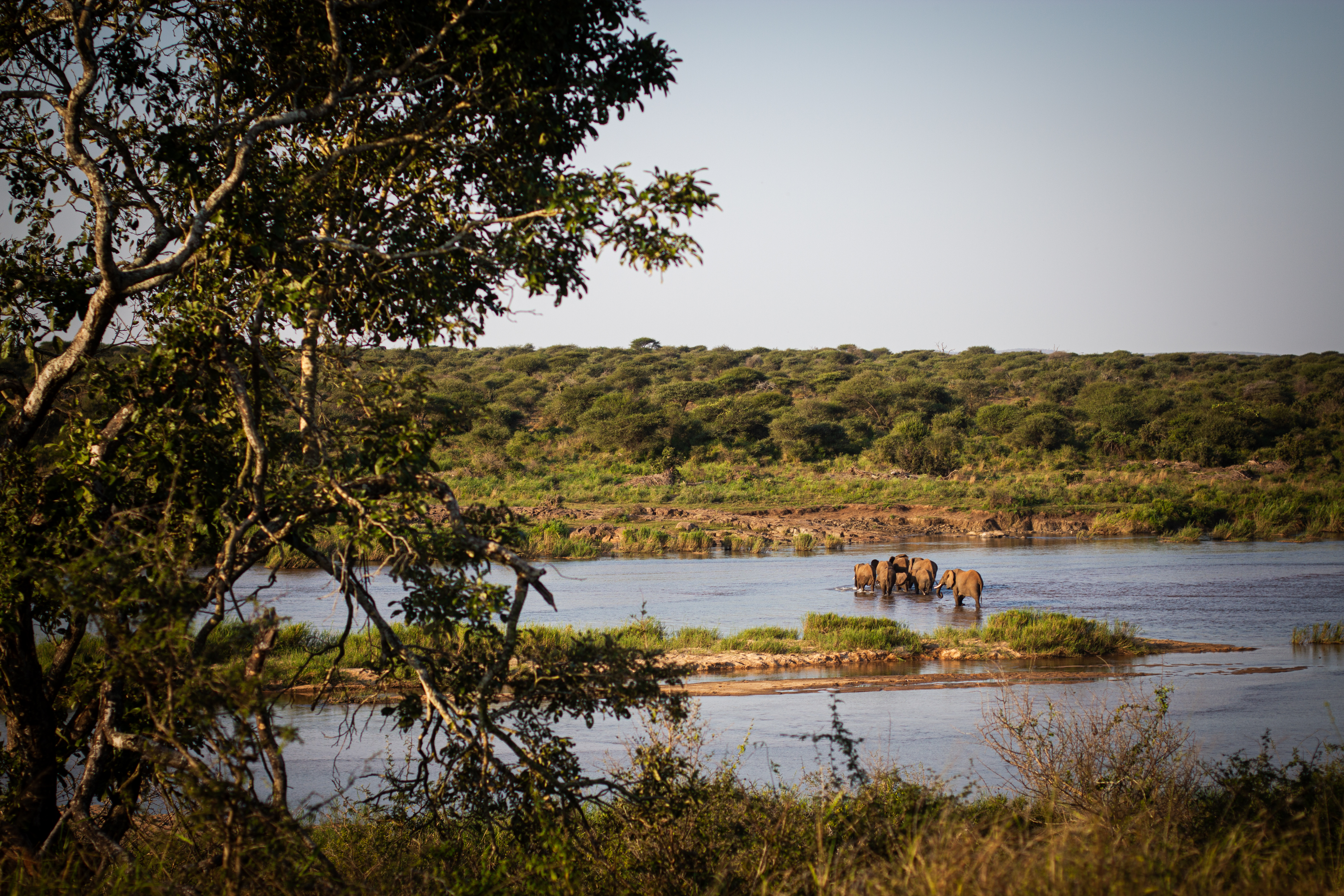 The Beauty of the Bush photograph 6